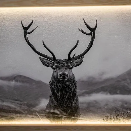 Alojamento de Acomodação e Pequeno-almoço Liberta - Goscinne 3*