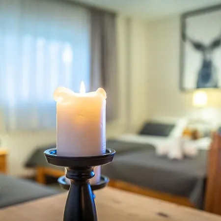 فندق مبيت وإفطار Liberta - Goscinne 3*