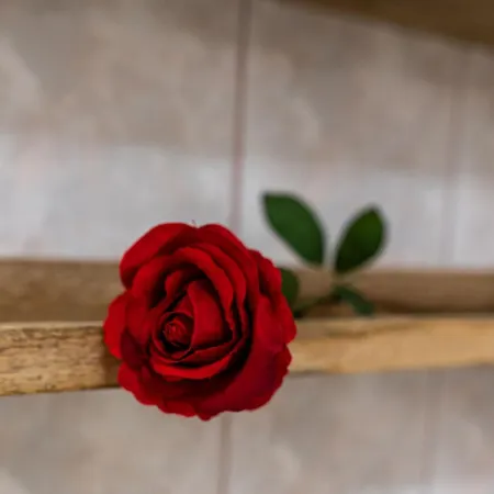 Liberta - Goscinne فندق مبيت وإفطار 3*