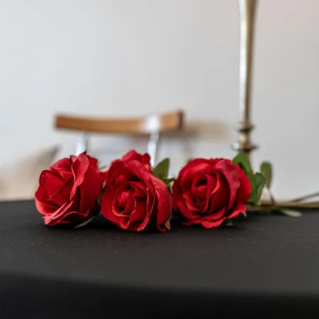 فندق مبيت وإفطار Liberta - Goscinne زاكوباني