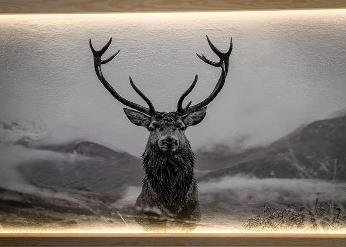 Bed & Breakfast Liberta - Goscinne 3*