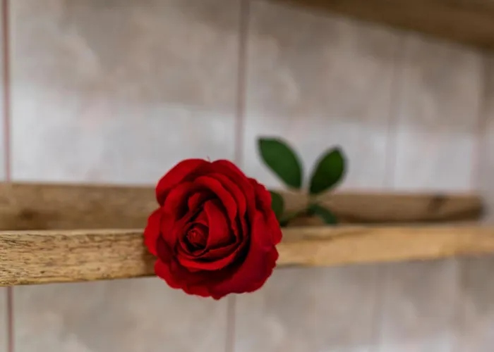 Liberta - Goscinne Bed & Breakfast 3*